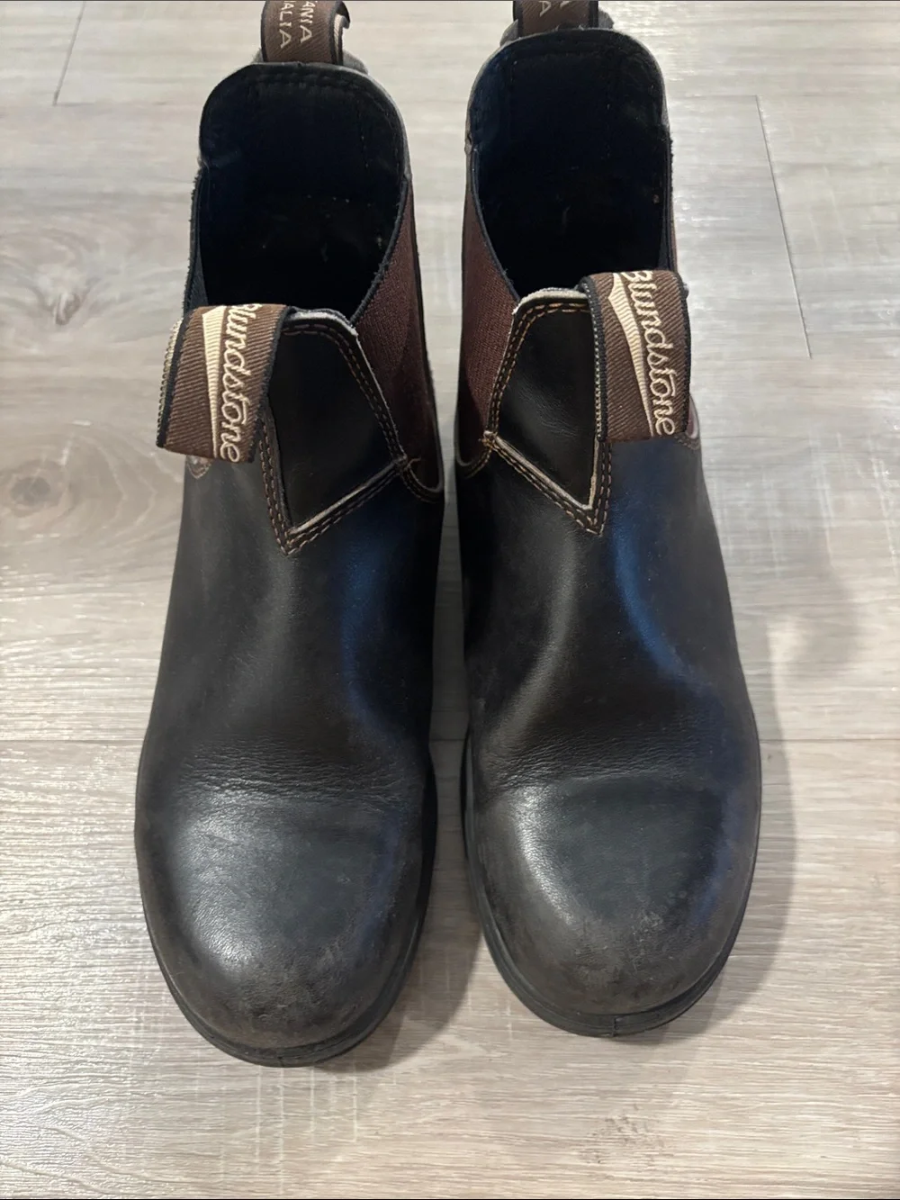 Blundstone Original 500 Chelsea boots in Stout Brown